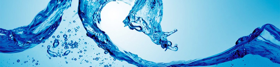 Banner de Fyra Ltda.