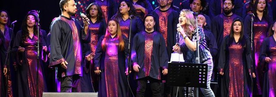 Banner de Sociedad Comercial Salto del Soldado Ltda.