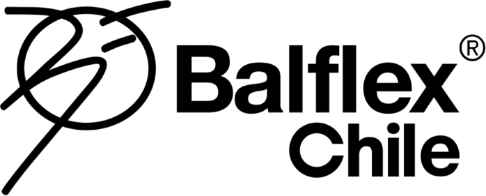Logo de Balflex Chile
