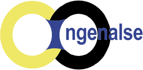 Logo de Ingenalse