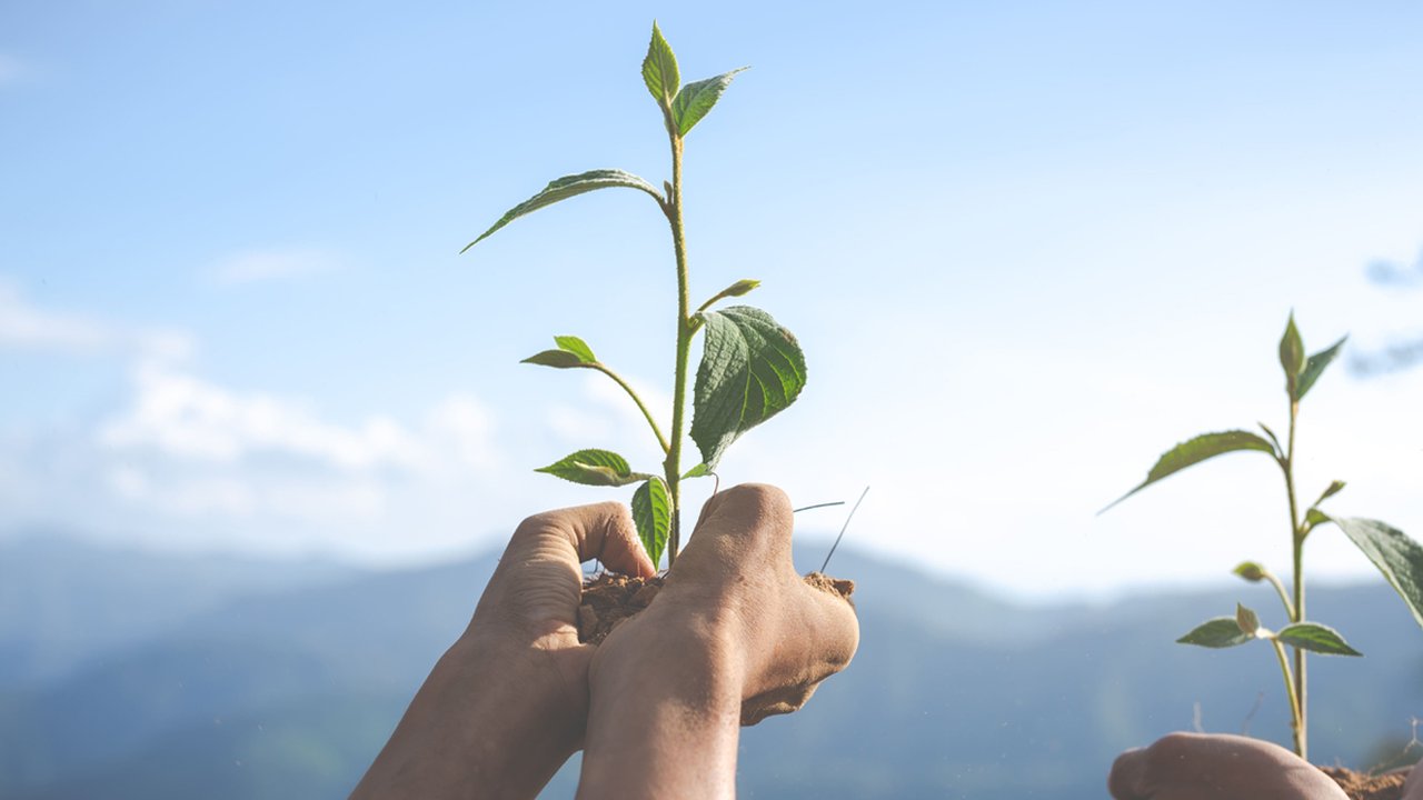 El futuro de la minería chilena: innovaciones para una operación sostenible